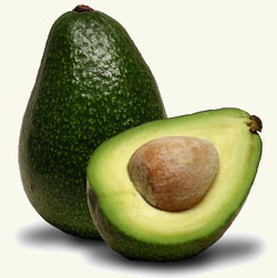 Avocado