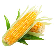 Corn