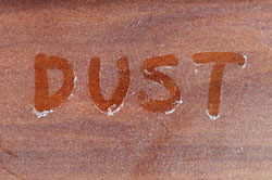 Household Dust