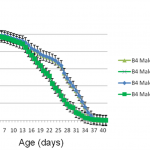 Stem Cell 100TM  Extends Male Drosophila Lifespan