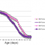 Stem Cell RxTM  Extends female Drosophila Lifespan