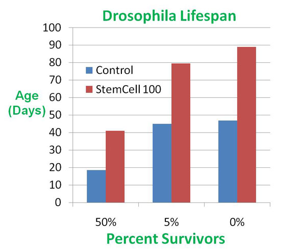 Drosophila Lifespan with Stem Cell 100