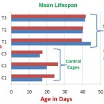 sc100-mean-lifespan