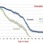 stem-cell-100-females