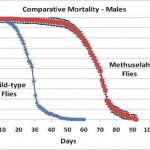 comparitive-mortality
