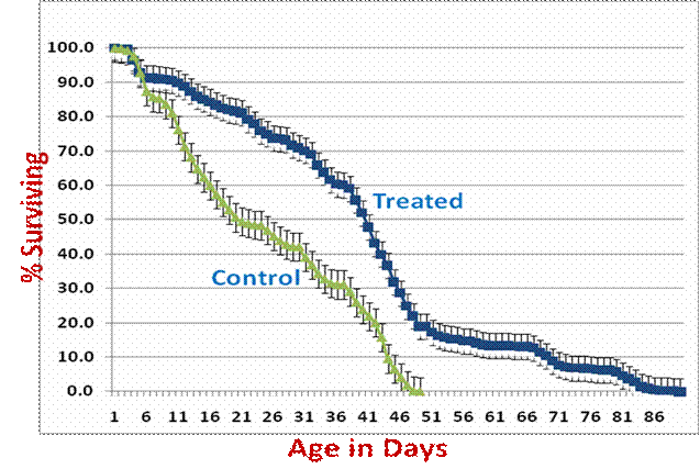 drosophila-survival-curve