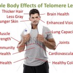 telomeres-man