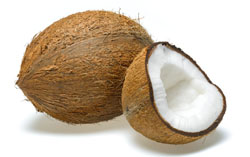 coconut