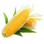 corn