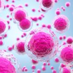 Human,Cells,Or,Stem,Cells,-,3d,Illustration